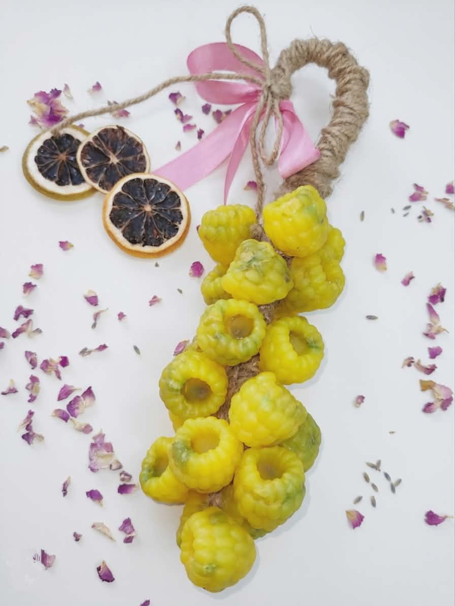 gzen handmade grape soap