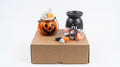 Halloween-themed candle gift set displayed on a brown cardboard box against a white background, featuring an orange jack-o'-lantern candle bucket, a black wax warmer, and small orange and gray candles, wax melts handmade by gzen candles based in Cyprus
