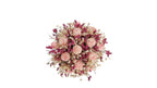 A dried floral arrangement featuring light pink roses, deep magenta baby's breath, and cream filler flowers, centered on a solid white background.