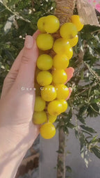 Handmade Grape Soap (Yellow  Color)
