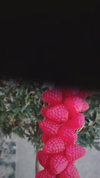 Handmade Strawberries Soap ( Red color )