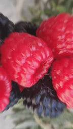 Handmade Natural Berries Soap (Red & Black )